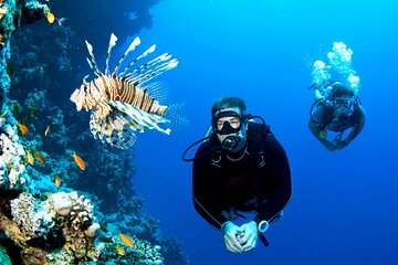 Hurghada: Professional Scuba Diving Experience, Lunch & Transfer - Image 1