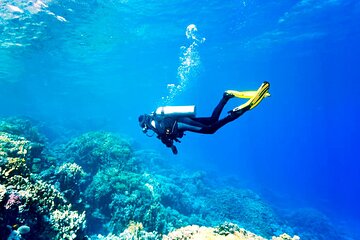 Hurghada: Professional Scuba Diving Experience, Lunch & Transfer - Image 2