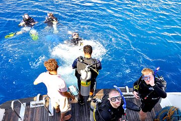 Hurghada: Professional Scuba Diving Experience, Lunch & Transfer - Image 3