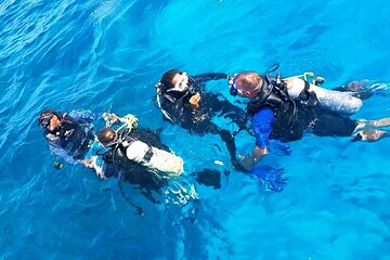 Hurghada: Professional Scuba Diving Experience, Lunch & Transfer - Image 4