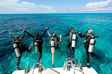 El Gouna: Professional Scuba Diving Tour with Lunch & Transfer - Image 4