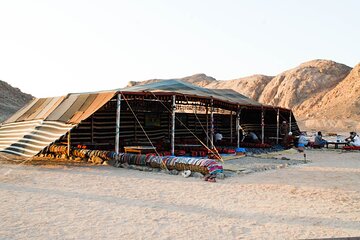 Hurghada Bedouin Village Sunrise Tour with Breakfast & Transfer - Image 4
