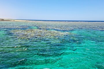 Marsa Alam: Snorkeling Trip to Marsa Mubarak, Lunch and Transfer - Image 3
