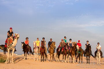 Tour in Hurghada Arabian Night and Star Watching - Image 3