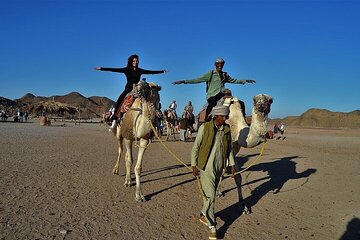 Enjoy with 1 - Hour Camel Ride with Transportation in Hurghada - Image 2