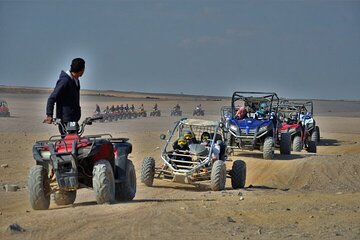 Bedouin Village & Buggy Car Safari Desert Tour in Sharm ElSheikh - Image 3
