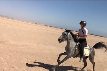 Spend Professional 2 Hours Horse Riding & Transfer From Hurghada - Image 2