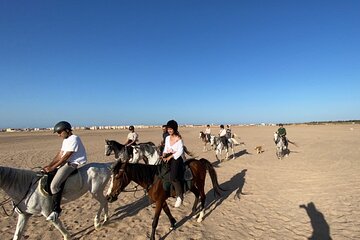 Spend Professional 2 Hours Horse Riding & Transfer From Hurghada - Image 3