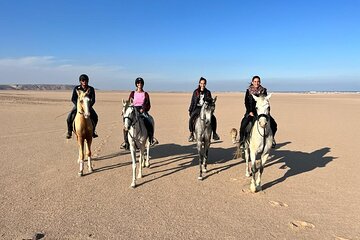 Spend Professional 2 Hours Horse Riding & Transfer From Hurghada - Image 4