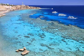 Full Day Snorkeling & Lunch on Tiran Island with Transfer Sharm - Image 2