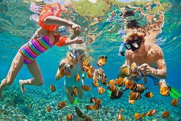 Full Day Snorkeling & Lunch on Tiran Island with Transfer Sharm - Image 4