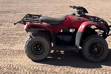 Private 3-Hours Quad Bike Safari Tour & Camel Ride From Hurghada - Image 4