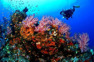 Full Day Scupa Diving And Snorkeling sea trip activity - Hurghada - Image 1