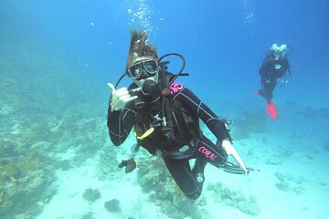 Full Day Scupa Diving And Snorkeling sea trip activity - Hurghada - Image 2