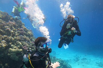 Full Day Scupa Diving And Snorkeling sea trip activity - Hurghada - Image 4
