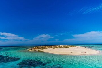 Seaside adventures from Marsa Alam to Hamata with Lunch - Image 4
