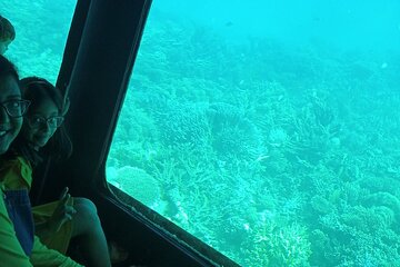 2 hours Underwater Life in a Semi Submarine From Marsa Alam - Image 4