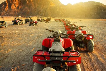 Private tour quad and visit the Bedouin village & Camel Ride - Image 3