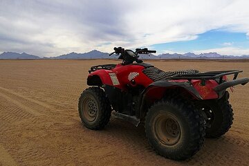 Private tour quad and visit the Bedouin village & Camel Ride - Image 4