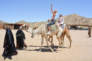 Adrenaline Full Day Safari By ATV quad with Dinner and Night Show - Image 1