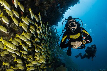 Scuba Diving or Snorkeling with Lunch and Beverages from Hurghada - Image 1