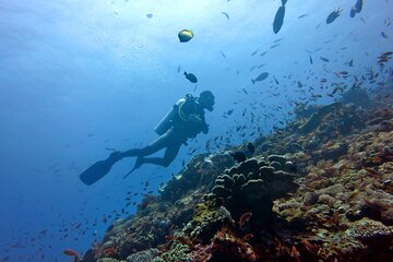 Scuba Diving or Snorkeling with Lunch and Beverages from Hurghada - Image 3