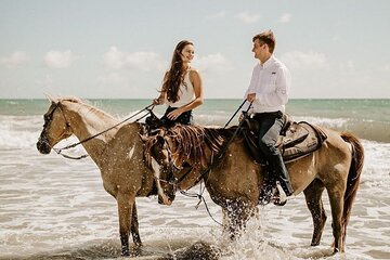 Horse riding experience on the beach or the desert in Hurghada - Image 3