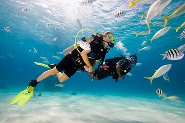 Diving Sea trip with hotel pickup included and lunch in Hurghada - Image 2