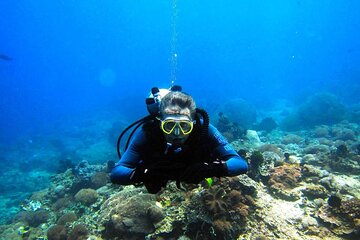 Diving Sea trip with hotel pickup included and lunch in Hurghada - Image 4