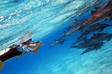 Dolphin house Snorkeling trip with Banan & Sofa Boat in Hurghada - Image 1