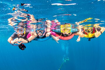 Dolphin house Snorkeling trip with Banan & Sofa Boat in Hurghada - Image 2