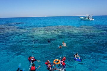 Dolphin house Snorkeling trip with Banan & Sofa Boat in Hurghada - Image 4