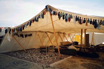 Buggy Safari To Visit Bedouin village & Camel ride in Marsa Alam - Image 4