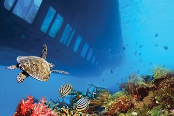 Sea Scope Semi Submarine with transfer - Marsa Alam - Image 2
