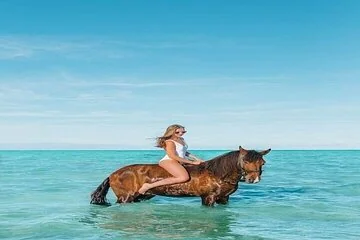 2 Hours : Horse Riding along Hurghada's Beach and Desert. - Image 2