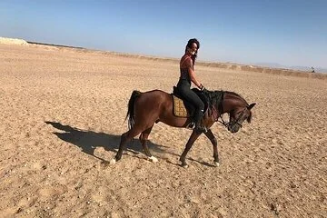 2 Hours : Horse Riding along Hurghada's Beach and Desert. - Image 4