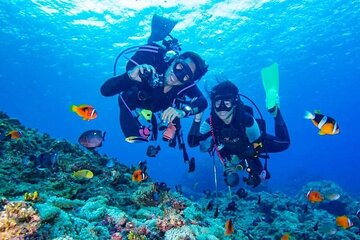 Samadai Reef Snorkelling boat Trip from Marsa Alam - Image 2