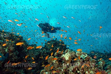 Samadai Reef Snorkelling boat Trip from Marsa Alam - Image 4