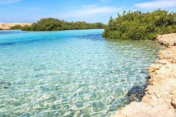 Bus Tour to Ras Mohamed and Magic Lake with Snorkeling from Sharm - Image 2
