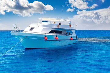 Dolphin House Snorkeling Sea Cruise, Including all fees_ Hurghada - Image 1