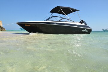 Private Speedboat swimming and Dolphin Watching in Hurghada - Image 2