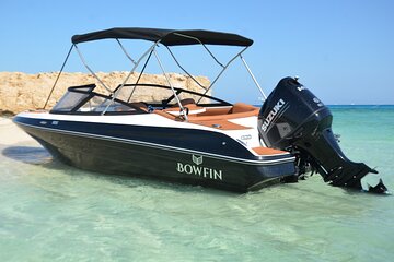 Private Speedboat swimming and Dolphin Watching in Hurghada - Image 4