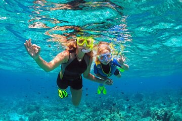 Quad Riding & Snorkeling on The Beach With Lunch From Marsa Alam - Image 3