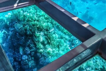 1-Hour Private Glass-Boat with Transfers In Sharm El Sheikh - Image 2