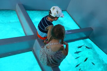 1-Hour Private Glass-Boat with Transfers In Sharm El Sheikh - Image 4