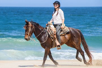 3-Hour Swim with Horses and Romantic Dinner from Hurghada hotels - Image 2