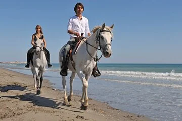 عرض كل الصور