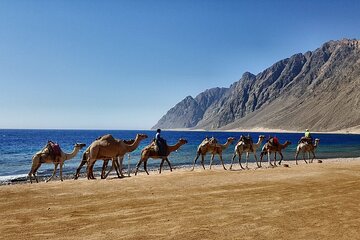 Canyon Salama & Dahab City Tour From Sharm El Sheikh - Image 1