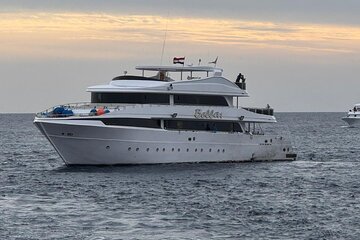 Hamata Island snorkeling Sea Trip with Lunch from Marsa Alam - Image 1