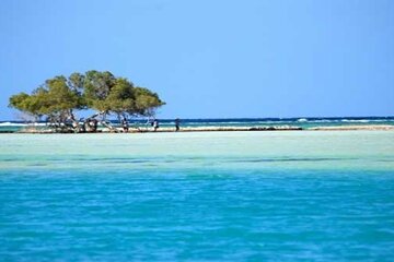 Hamata Island snorkeling Sea Trip with Lunch from Marsa Alam - Image 3